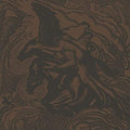 Sunn O))) - Flight Of The Behemoth - Vinyl Record