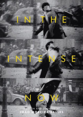 In The Intense Now - In The Intense Now - DVD