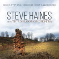 Haines,steve & Third Floor Orchestra - Steve Haines And The Third Floor Orchestra - Music CD