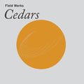 Field Works - Cedars - Vinyl Record