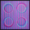 Bassett,marcia / Dimuzio,thomas - Losing Circles - Vinyl Record