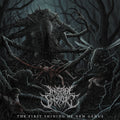 Insect Inside - First Shining Of New Genus - Music CD