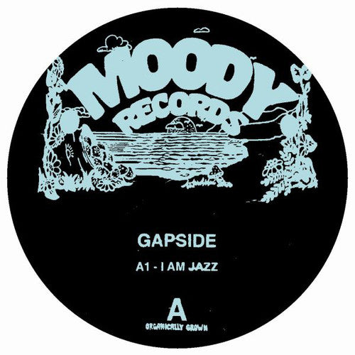 Gapside / Encuentros - Gapside / Encuentros - Vinyl Record