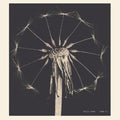 Funke,maxine - Home Fi - Vinyl Record