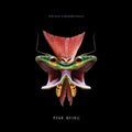 Buck,tony & Pupillo,massimo - Time Being - Vinyl Record