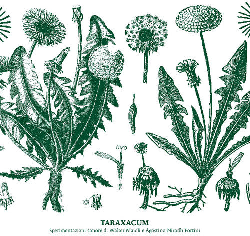 Maioli,walter & Nirodh Fortini - Taraxacum - Music CD