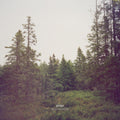 Gidge - Autumn Bells - Vinyl Record