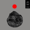 Araujo,vitor - Levaguia Tere - Vinyl Record