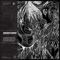 Nadler,marissa / Brodsky,stephen - Droneflower - Music CD