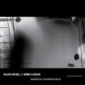 Heidl,ralph / Homo Ludens - Moments Of Resonance - Vinyl Record
