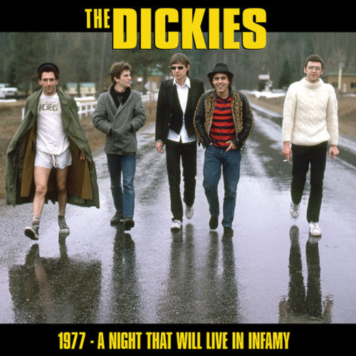 Dickies - Night That Will Live In Infamy 1977 - Vinyl Record