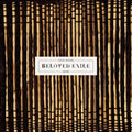 Beloved Exile (Indie Exclusive) [Clear Vinyl] (Pnk) [Indie Exclusive] Vinyl Record