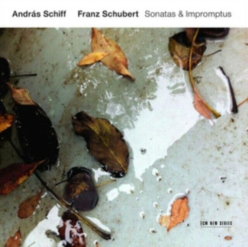 Schubert / Schiff,andras - Sonatas & Impromptus - Music CD