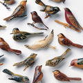 Kishi Bashi - Omoiyari [Indie Exclusive Limited Edition White LP]