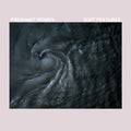 Pregnant Women - Soft Features - Vinyl Record