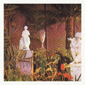 Ahti,marja - Vegetal Negatives - Vinyl Record