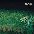 Kudo,reiko - Rice Field Silently Riping In The Night - Vinyl Record