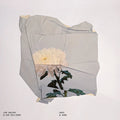 Safe & Sane [LP] Vinyl Record