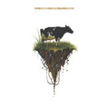 Phoenecia - Odd Job Discrimination - Music CD