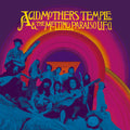 Acid Mothers Temple & The Melting Paraiso U.f.o. - Acid Mothers Temple & Melting Paraiso U.f.o. - Vinyl Record