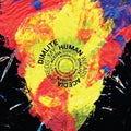 Dimlite - Do Not Sell - Music CD