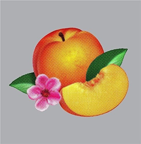 Phoenix - Bankrupt - Music CD