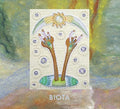 Biota - Fragment Of Balance - Music CD