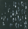 Sightings - Amusers And Puzzlers - Vinyl Record