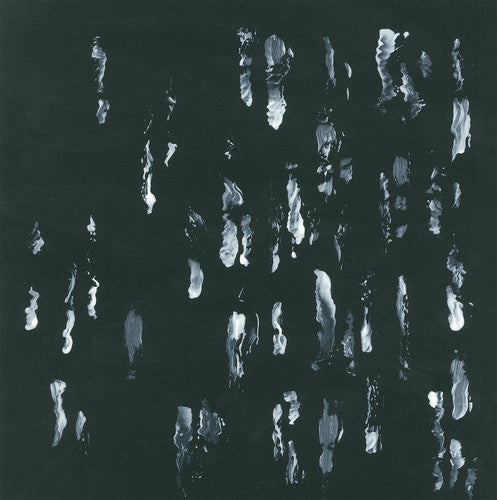 Sightings - Amusers And Puzzlers - Vinyl Record