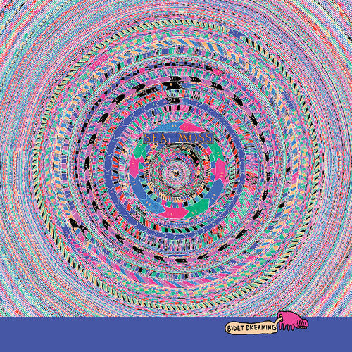 Sea Moss - Bidet Dreaming - Vinyl Record