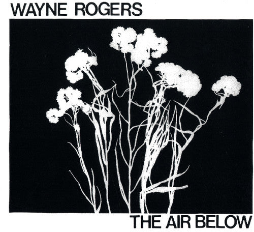Rogers,wayne - Air Below - Vinyl Record