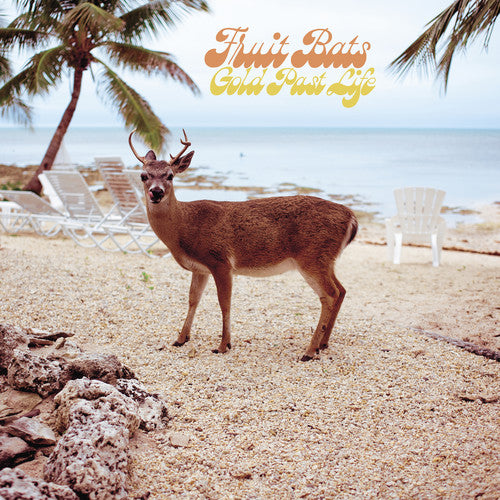 Fruit Bats - Gold Past Life - Music CD