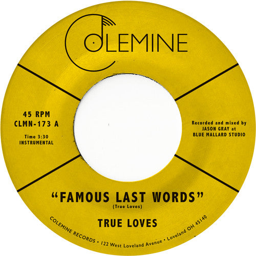 Famous Last Words [7" Vinyl] Vinyl Record
