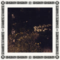 Davachi,sarah - Pale Bloom - Music CD