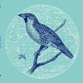 Genius Of Time - Peace Bird - Vinyl Record