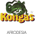 Kongas - Afrodesia - Vinyl Record