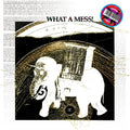 Bradock,pepe - What A Mess - Vinyl Record