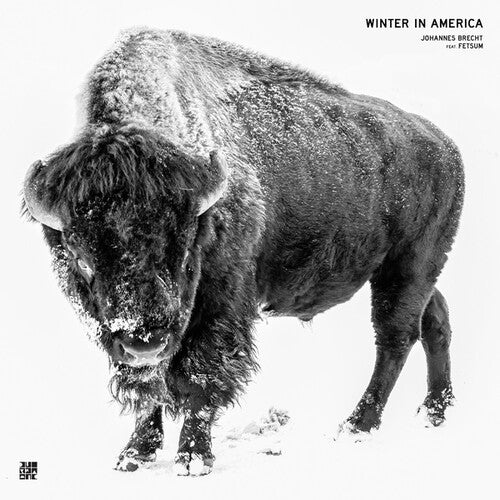 Brecht,johannes / Fetsum - Winter In America - Vinyl Record