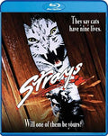 Strays (1991) - Strays (1991) - Blu-ray