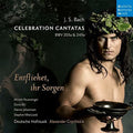 Bach / Grychtolik,alexander - Bach: Celebration Cantatas-blast Larme - Music CD