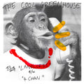 Cool Greenhouse - Landlords / 4chan - Vinyl Record