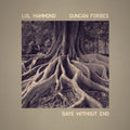 Hammond,lol / Duncan Forbes - Days Without End - Music CD