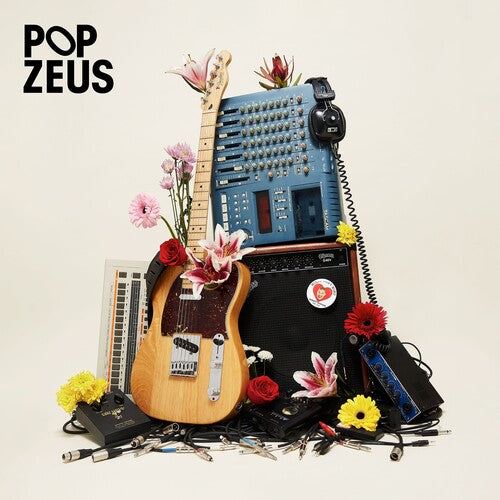 Pop Zeus - This Doesn't Feel Like Home (unreleased Demos 2011 - Vinyl Record