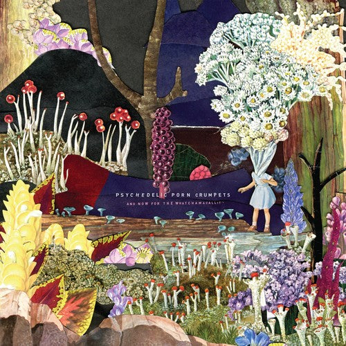 Psychedelic Porn Crumpets - And Now For The Whatchamacallit - Music CD