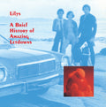 Brief History Of Amazing Letdowns [LP] Vinyl Record