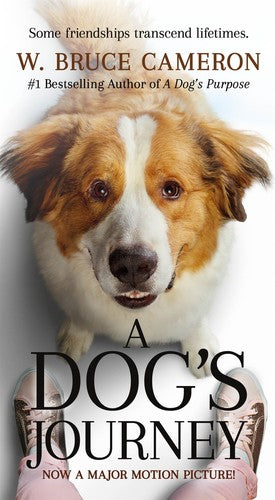Cameron,w Bruce - Dogs Journey Mti - Books