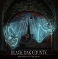 Black Oak County - Theatre Of The Mind - Vinyl Record
