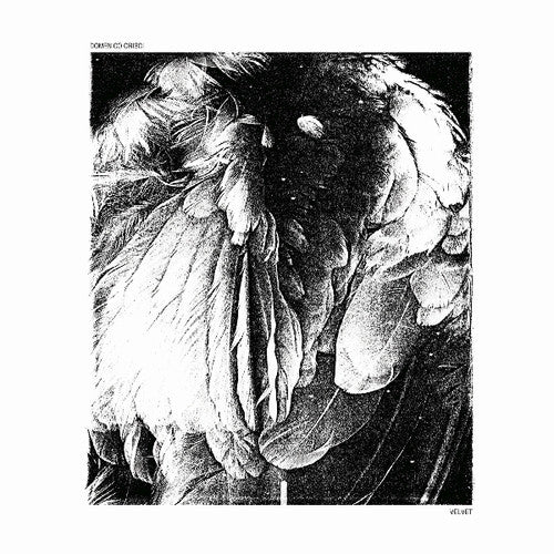 Crisci,domenico - Velvet - Vinyl Record