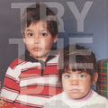 Try The Pie - Domestication - Vinyl Record