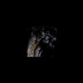 Brunnen - Garden Of Perpetual Dreams - Vinyl Record